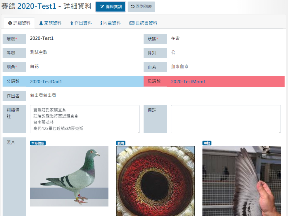 資訊系統/軟體 畫面